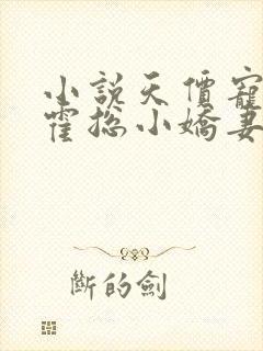 小说天价宠妻:霍总小娇妻