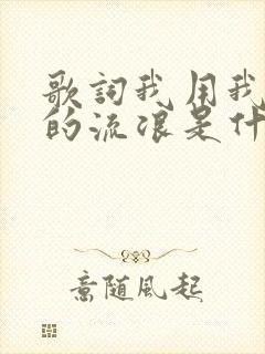 歌词我用我自己的流浪是什么歌名