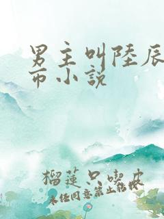 男主叫陆辰的都市小说