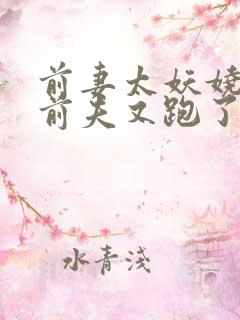 前妻太妖娆总裁前夫又跑了小说