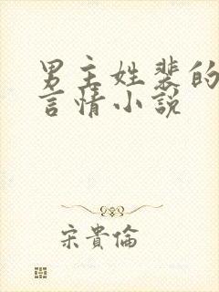 男主姓裴的现代言情小说