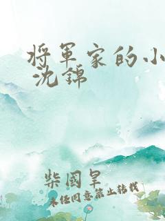 将军家的小娘子 沈锦