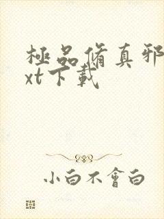 极品修真邪少txt下载