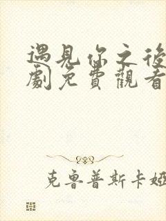 遇见你之后电视剧免费观看全集