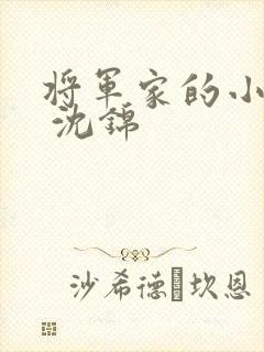 将军家的小娘子 沈锦