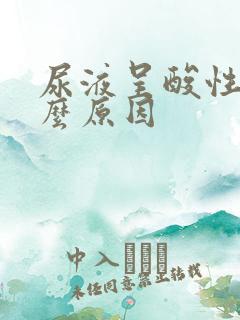 尿液呈酸性是什么原因