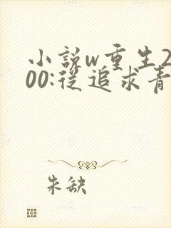 小说w重生2000:从追求青涩校花同桌开始,