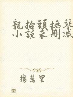 龙抬头抚琴的人小说未删减在线看