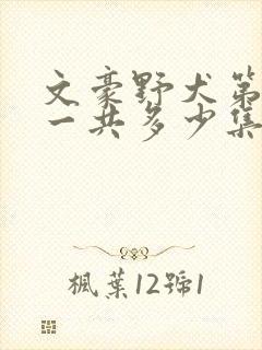 文豪野犬第三季一共多少集