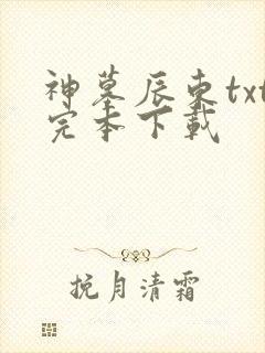 神墓辰东txt完本下载