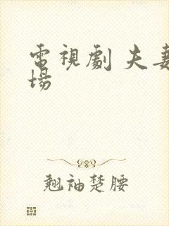 电视剧 夫妻一场