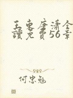 王东唐潇全本阅读免费56章