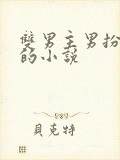 双男主男扮女装的小说