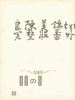 良陈美锦txt完整版番外