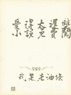 爱得太迟双男主小说免费阅读