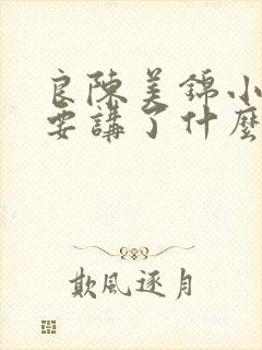 良陈美锦小说主要讲了什么