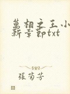 万相之王小说最新章节txt