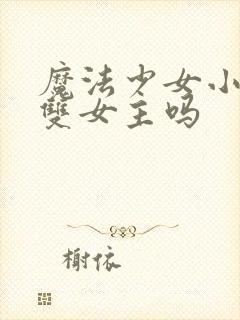 魔法少女小圆是双女主吗