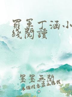 罗军丁涵小说在线阅读