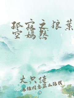 孤寂之狼叶凡司空嫣然