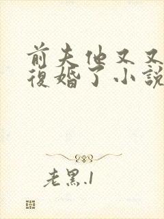 前夫他又又又想复婚了小说