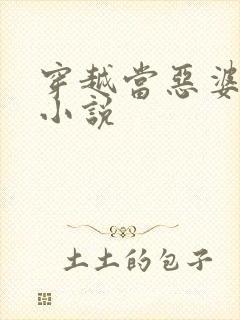 穿越当恶婆婆的小说