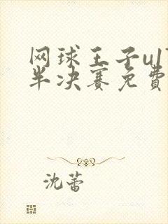 网球王子u17半决赛免费观看