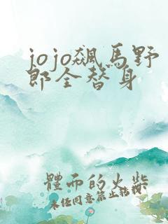 jojo飙马野郎全替身