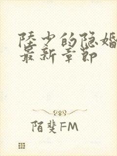 陆少的隐婚罪妻最新章节