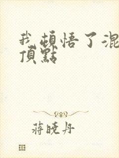 我顿悟了混沌体顶点