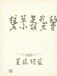 校草是我的前男友小说免费阅读