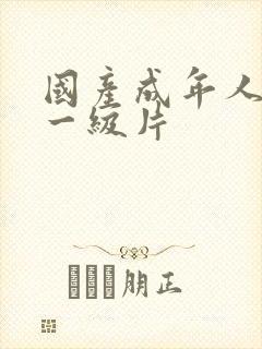 国产成年人免费一级片