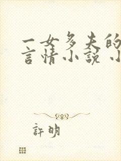 一女多夫的现代言情小说 小说