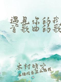 遇见你的我是哪首歌曲的歌词