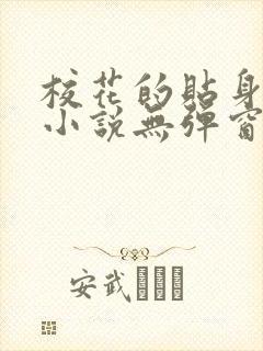 校花的贴身高手小说无弹窗全文免费阅读