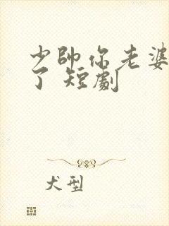 少帅你老婆又跑了 短剧