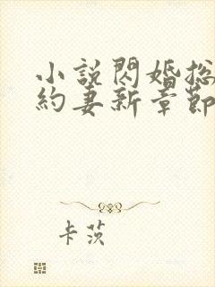 小说闪婚总裁契约妻新章节列表