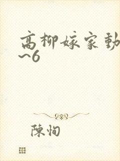 高柳嫁家动漫1~6