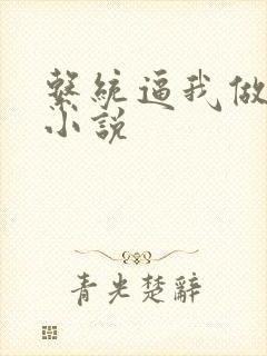 系统逼我做反派小说