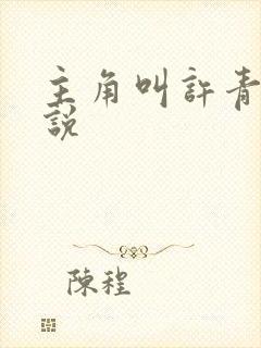 主角叫许青的小说