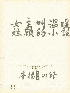 女主叫温暖男主姓顾的小说