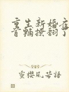 重生新婚夜病娇首辅撩翻了