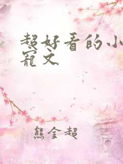 超好看的小说甜宠文