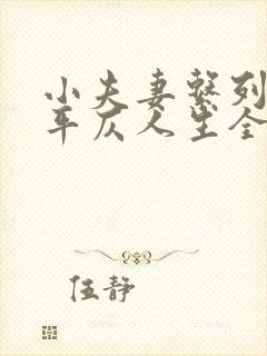 小夫妻系列60平仄人生全文免费阅读