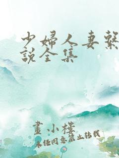 少妇人妻系列小说全集
