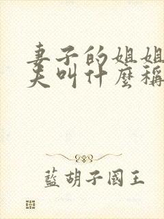 妻子的姐姐的丈夫叫什么称谓