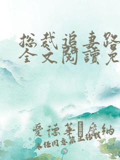 总裁追妻路漫漫全文阅读免费