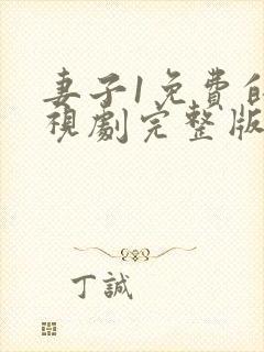 妻子1免费的电视剧完整版hd