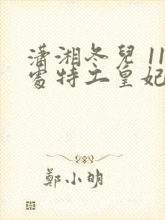 潇湘冬儿 11处特工皇妃