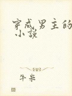 穿成男主的后妈 小说